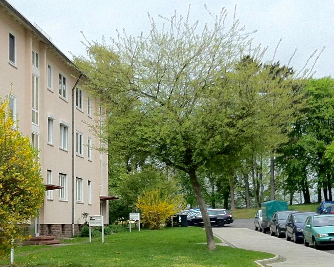 Ask In Accommodatie bij particulieren *